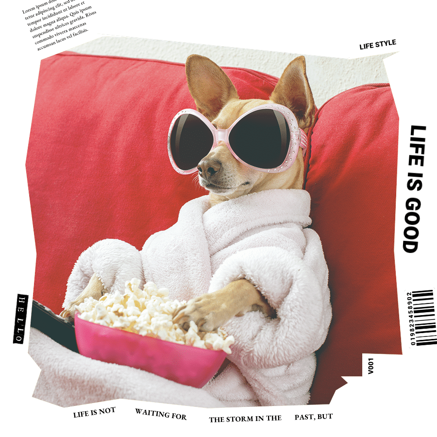 White Background Pet Birthday Fashion Simple Style Tear Paper Poster Instagram Post