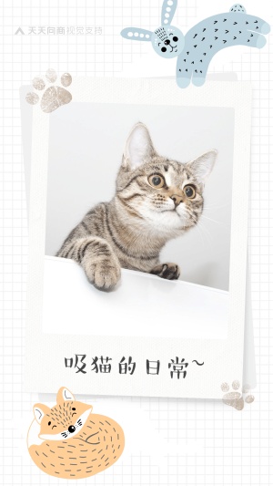 吸猫日常可爱晒萌宠手绘海报