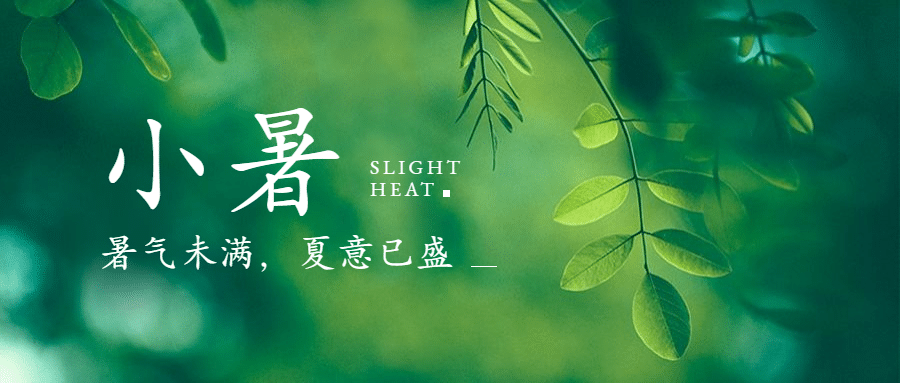 小暑节气夏天绿植实景公众号首图预览效果