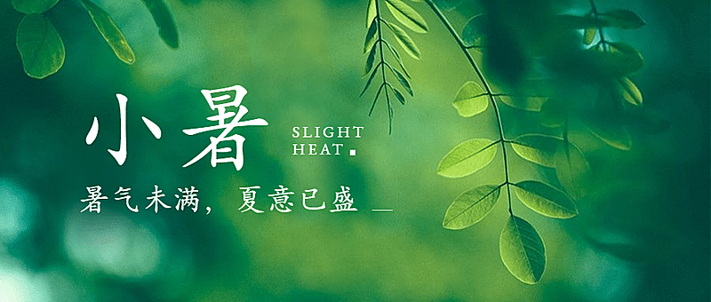 小暑节气夏天绿植实景公众号首图