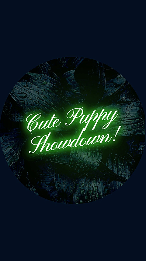 Fashion Green Leaves Decorate Neon Lights Text Instagram Highlight