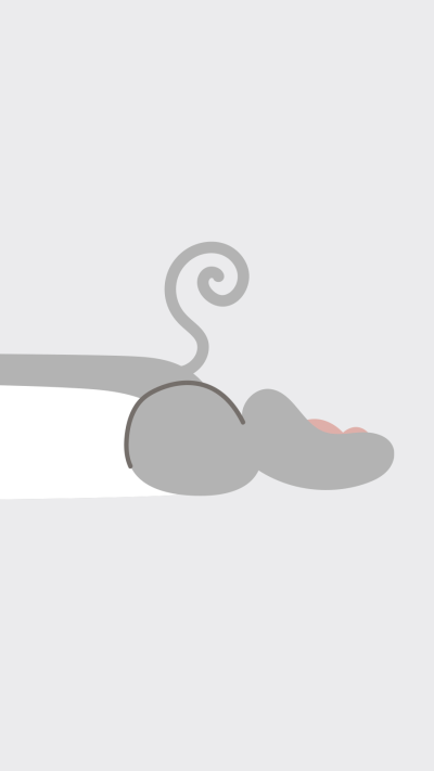Cute Cartoon Gray Cat Paw Tail Instagram Highlight