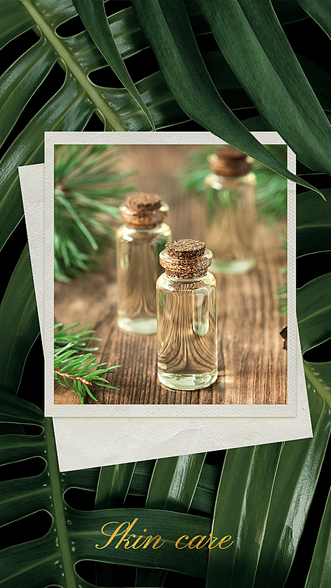 Simple Green Leaves Background Skincare Products Instagram Story