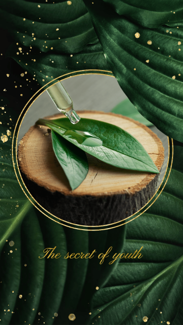 Skincare Product Plant Theme Ecommerce Story预览效果