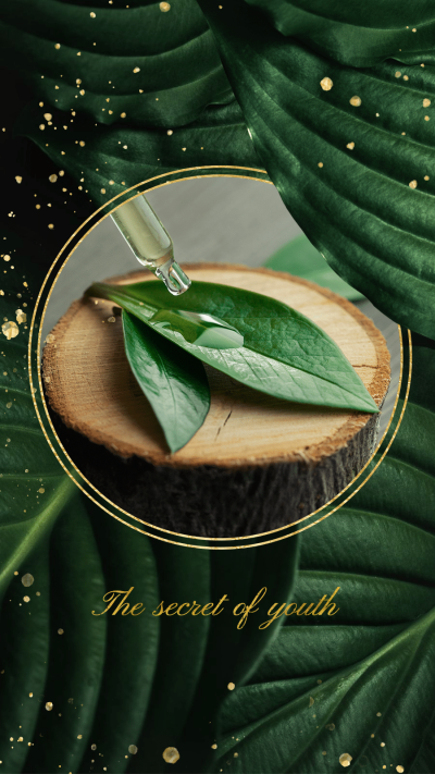 Skincare Product Plant Theme Ecommerce Story