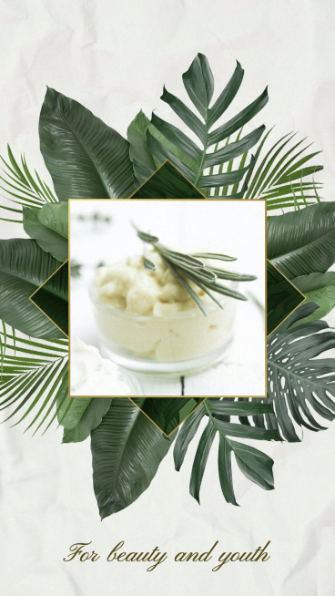 Minimalist Leaves Decorate Square Frame Skincare Products Instagram Story预览效果