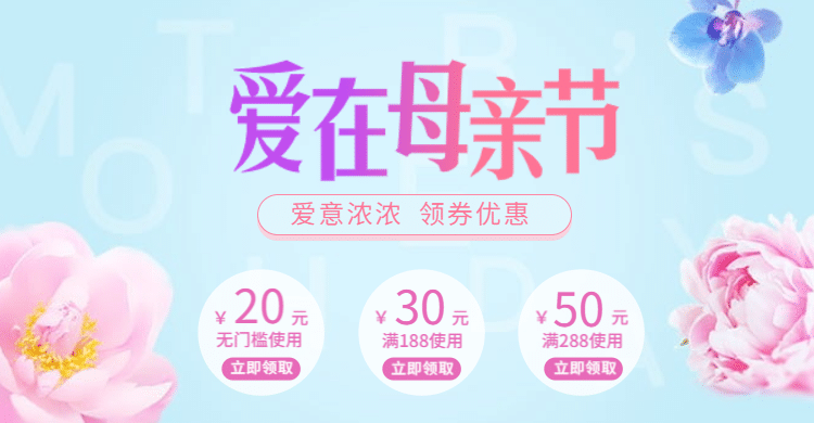 母亲节清新优惠券预览效果