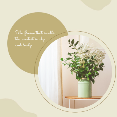 Personal Show Life Sharing Photo Fashion Simple Style Poster Instagram Post