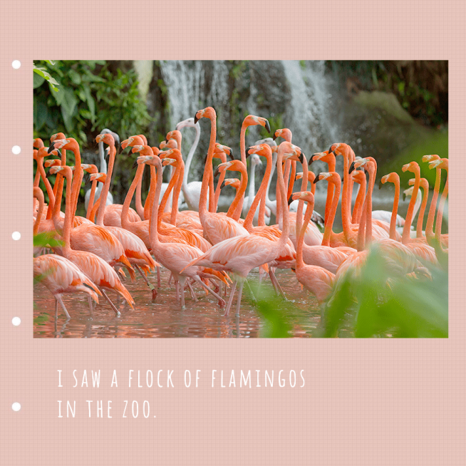 Dark Pink Background Flamingo Photo Fashion Simple Style Poster Instagram Post预览效果