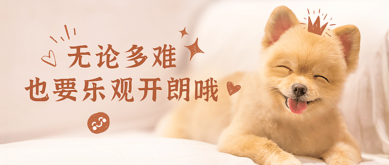世界微笑日萌宠公众号首图