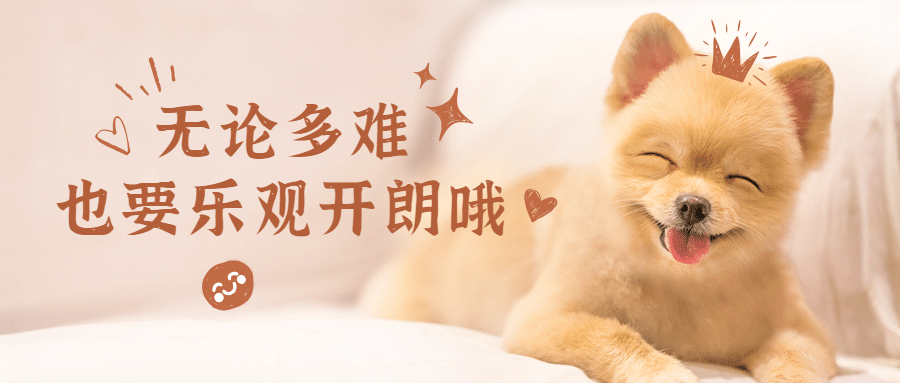 世界微笑日萌宠公众号首图