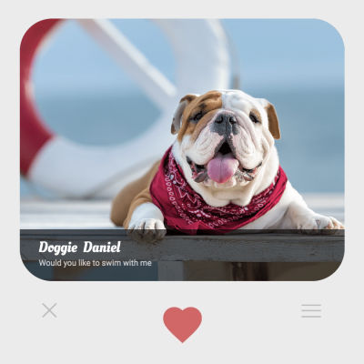 Pet Photo Frame Love Shape Cute Fashion Simple Style Poster Instagram Post
