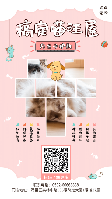 宠物可爱项目介绍手机海报预览效果