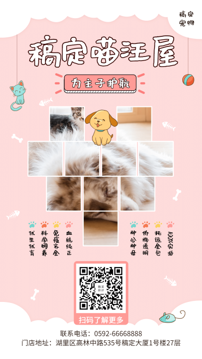 宠物可爱项目介绍手机海报