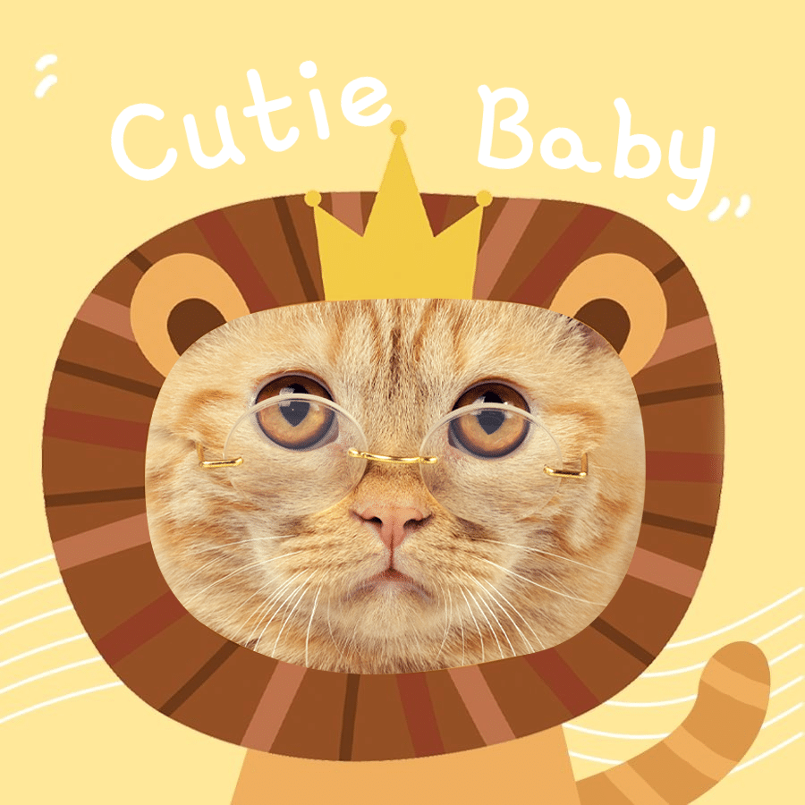 Cutie Cat Special Frame Display Instagram Post预览效果