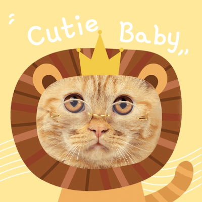 Cutie Cat Special Frame Display Instagram Post