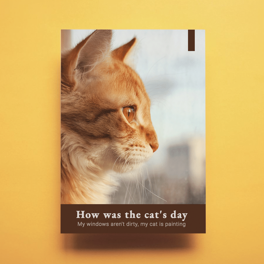 Literary Pet Cat Display Instagram Post预览效果