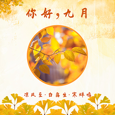 九月问候秋季氛围简约方形海报