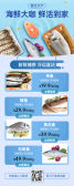 模板缩略图