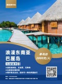 模板缩略图