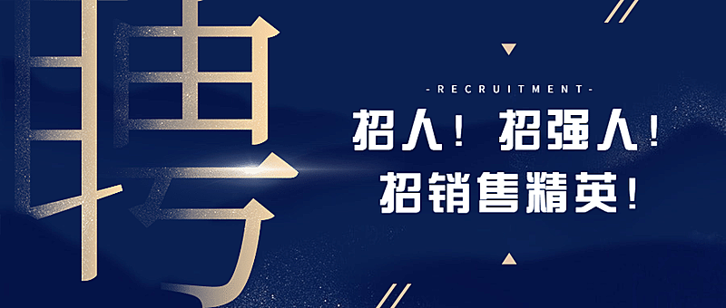 金融保险招销售精英强人大字报首图