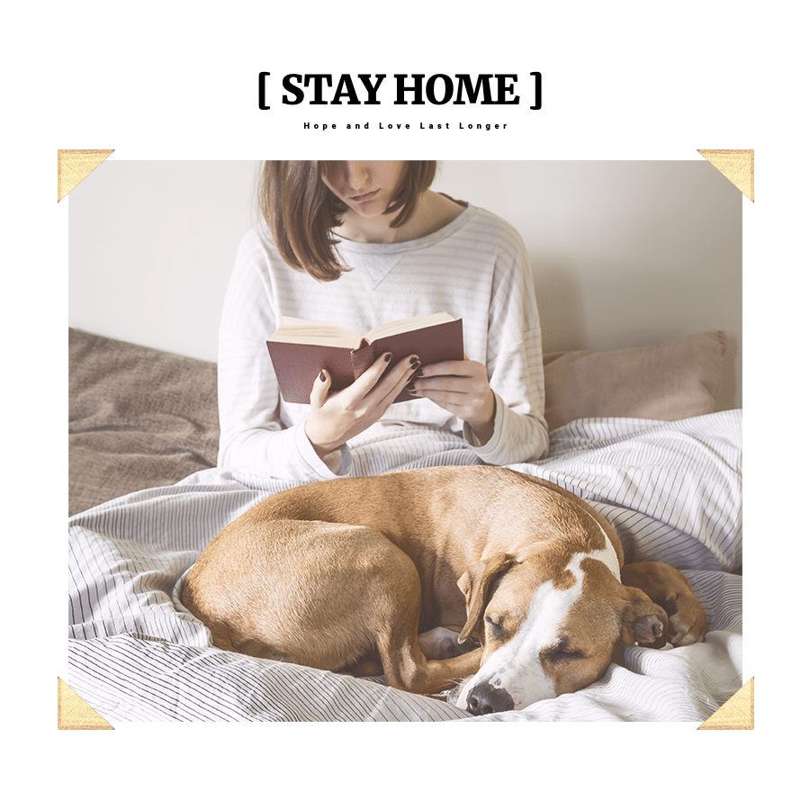 Literary COVID-19 Stay Home Display Instagram Post预览效果