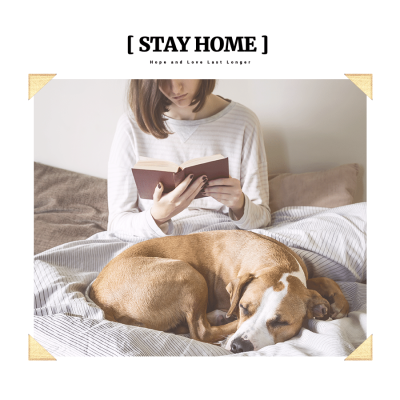 Literary COVID-19 Stay Home Display Instagram Post