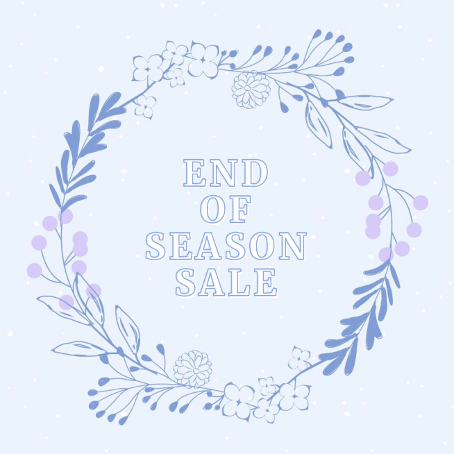 Sky Blue Background Plant Circle Clothing Promotion Season Sale Simple Fashion Style Poster Instagram Post预览效果