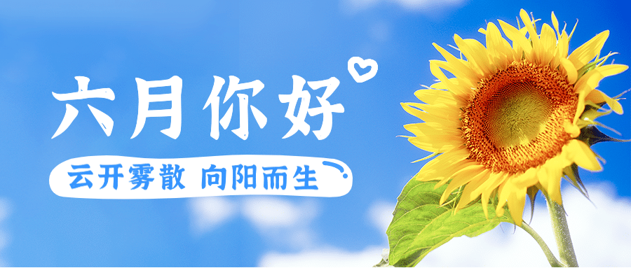 6月月初问候夏日小清新公众号首图预览效果