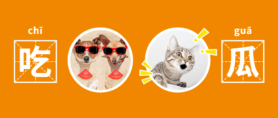 明星分手吃瓜群众公众号首图预览效果