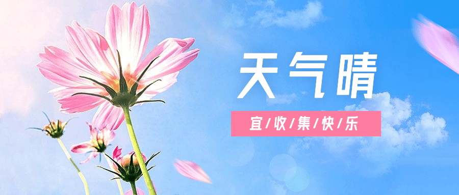 夏季问候小清新公众号首图预览效果