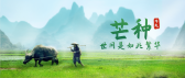 模板缩略图