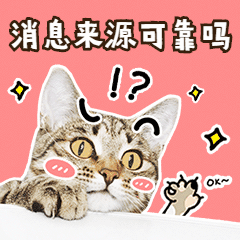 趣味卡通萌宠动态表情包预览效果