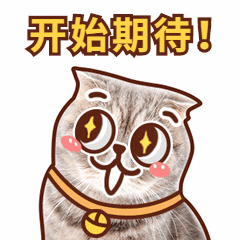 猫咪期待可爱萌宠动态表情包预览效果