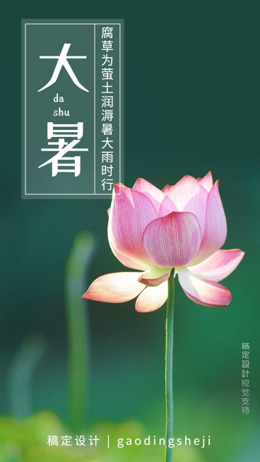 大暑传统节气打卡晒圈预览效果