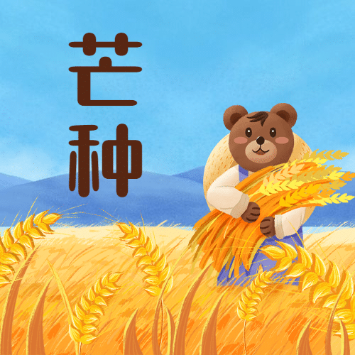 芒种节气稻穗熊插画公众号次图预览效果