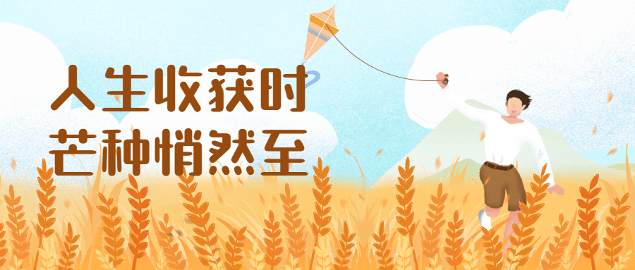 芒种节气稻田风筝插画公众号首图预览效果