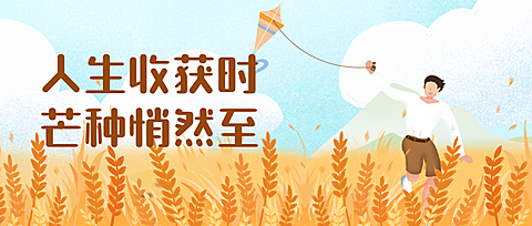 芒种节气稻田风筝插画公众号首图