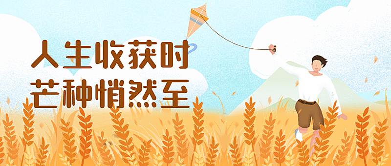 芒种节气稻田风筝插画公众号首图