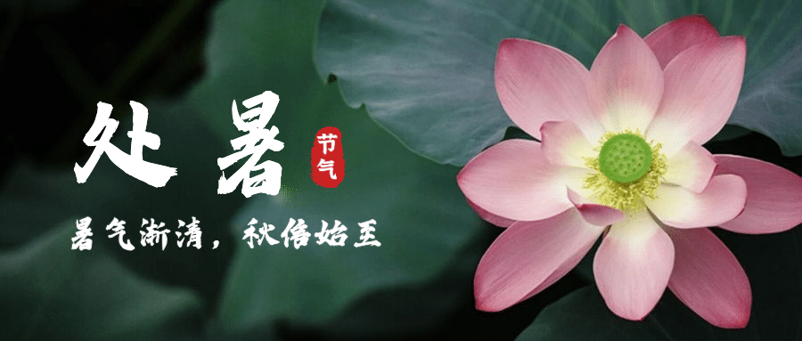 处暑节气祝福你好秋天公众号首图