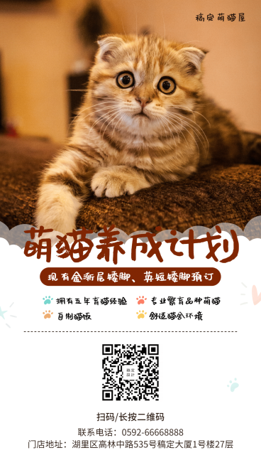 宠物实景卡通项目介绍手机海报预览效果