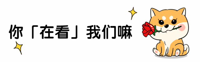萌宠柴犬卖萌动态引导在看再看预览效果