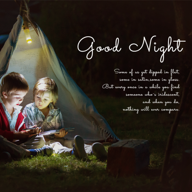 Lirterary Outdoor Scene Good Night Text Quotes Instagram Post预览效果