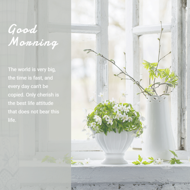 Good Morning Text Simple Fashion Style Poster Instagram Post预览效果