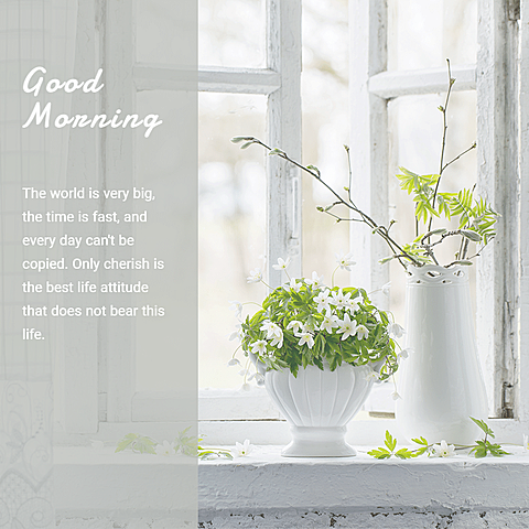 Good Morning Text Simple Fashion Style Poster Instagram Post