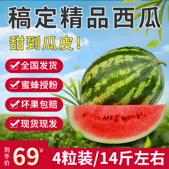 夏上新生鲜水果西瓜直通车主图预览效果