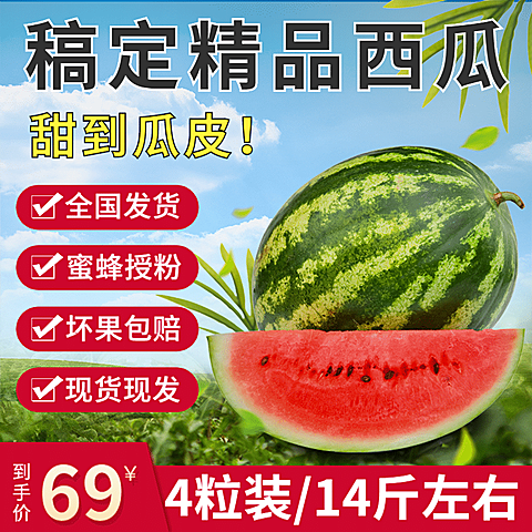 夏上新生鲜水果西瓜直通车主图