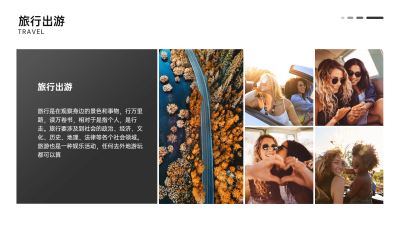 并列关系1项PPT图文页