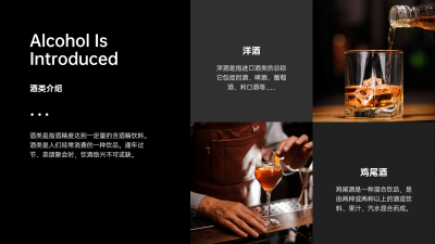 并列关系2项PPT图文页
