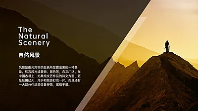 并列关系1项PPT图文页
